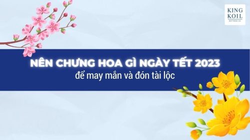 Nên chưng hoa gì vào ngày Tết 2023